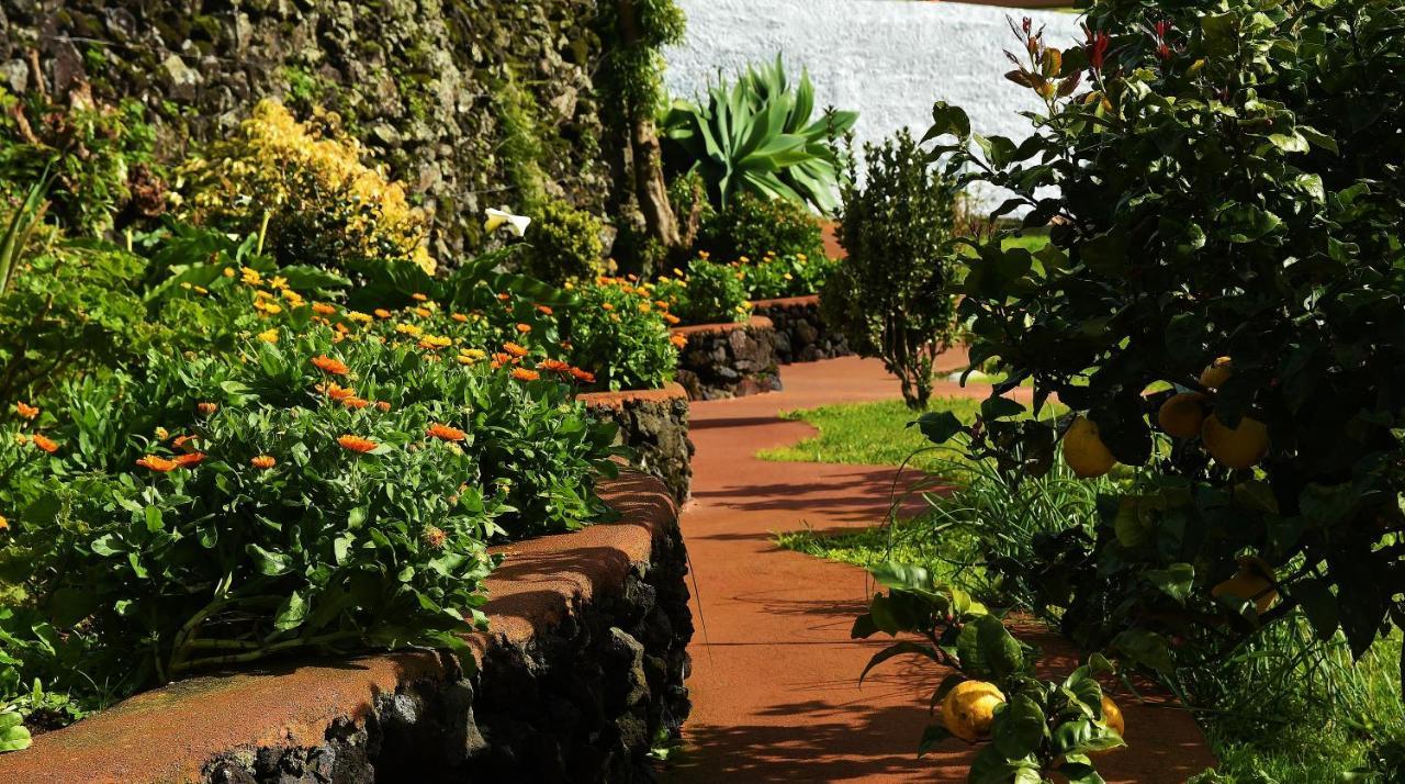 Quinta Dos Sentidos , Rustic Holiday Houses In São Vicente Ferreira Esterno foto