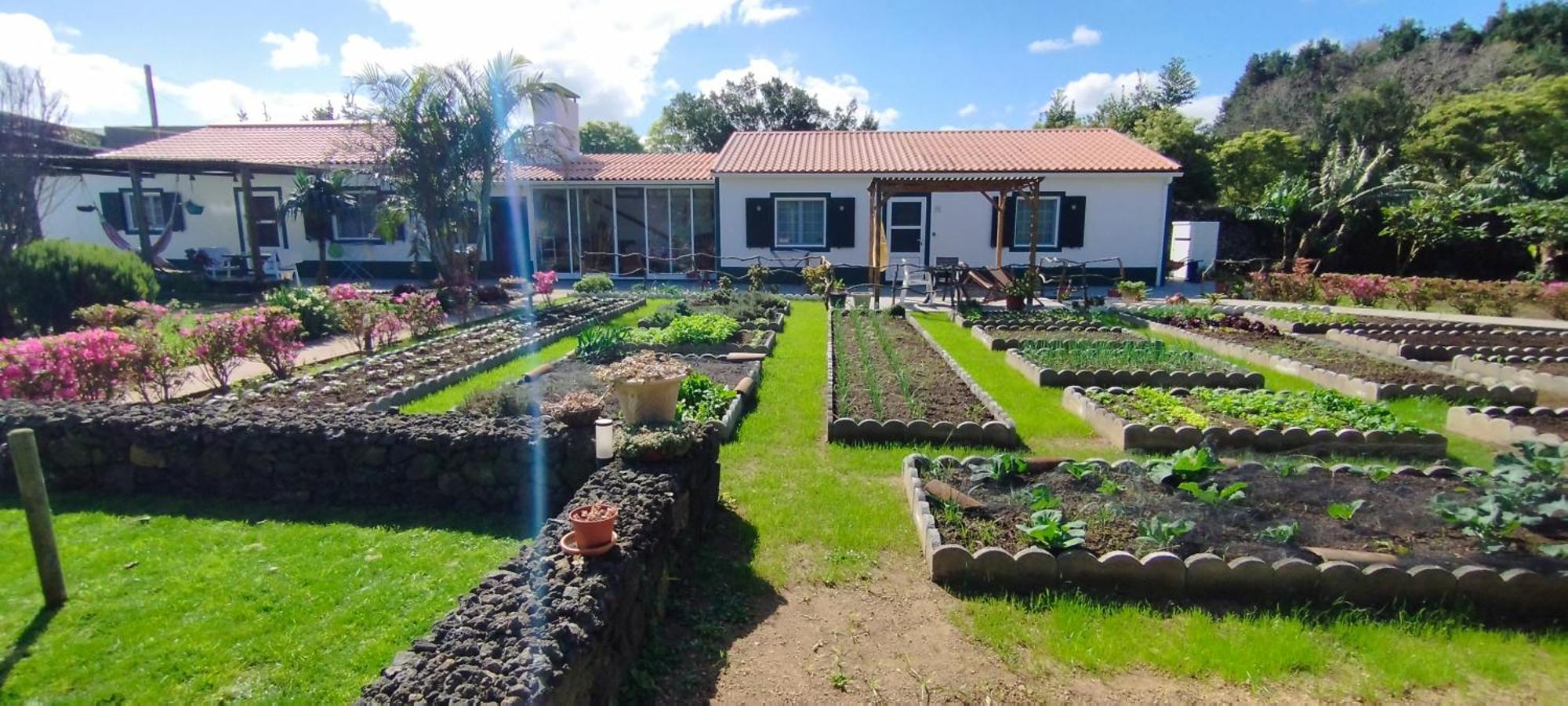 Quinta Dos Sentidos , Rustic Holiday Houses In São Vicente Ferreira Esterno foto
