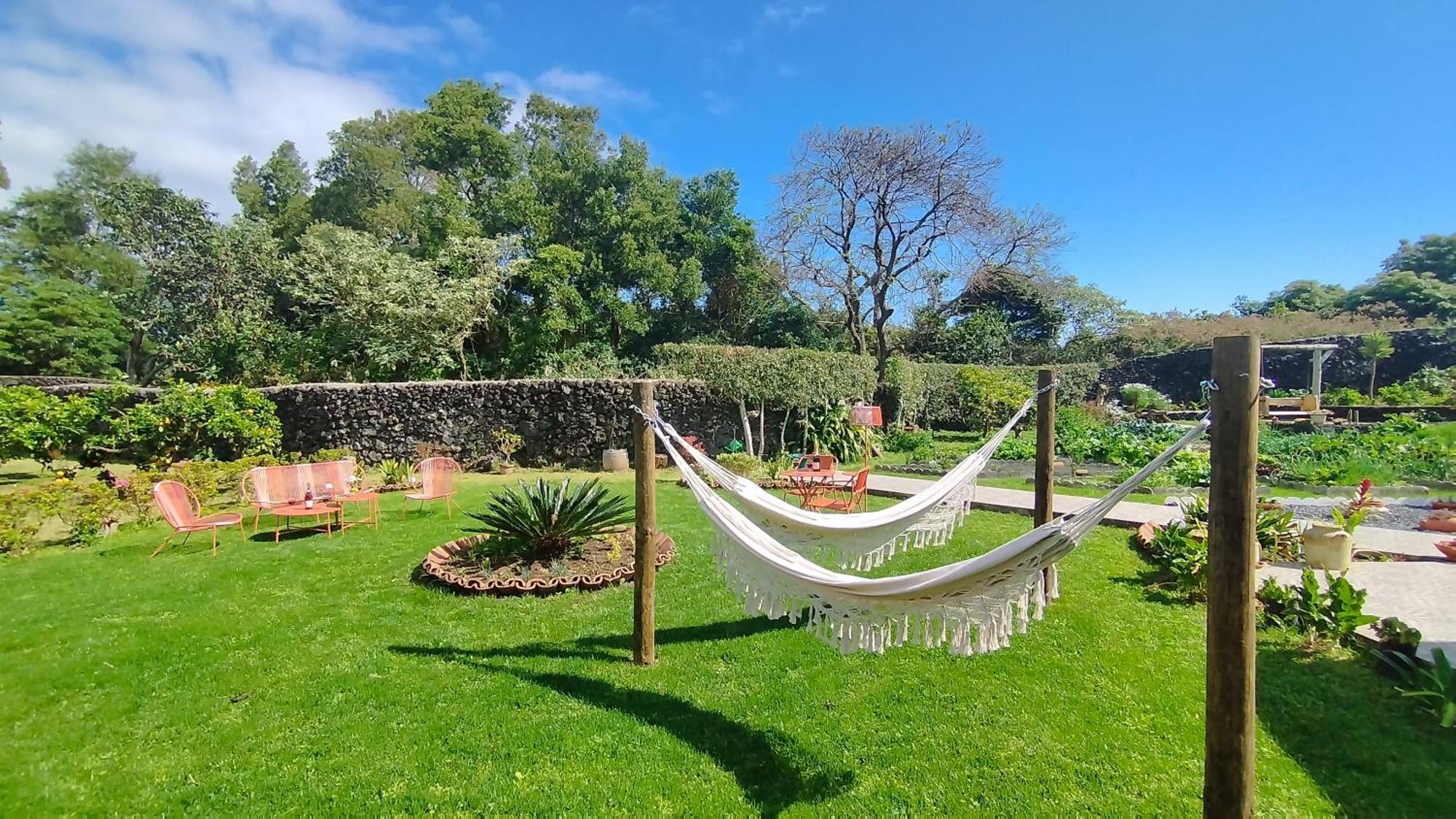 Quinta Dos Sentidos , Rustic Holiday Houses In São Vicente Ferreira Esterno foto