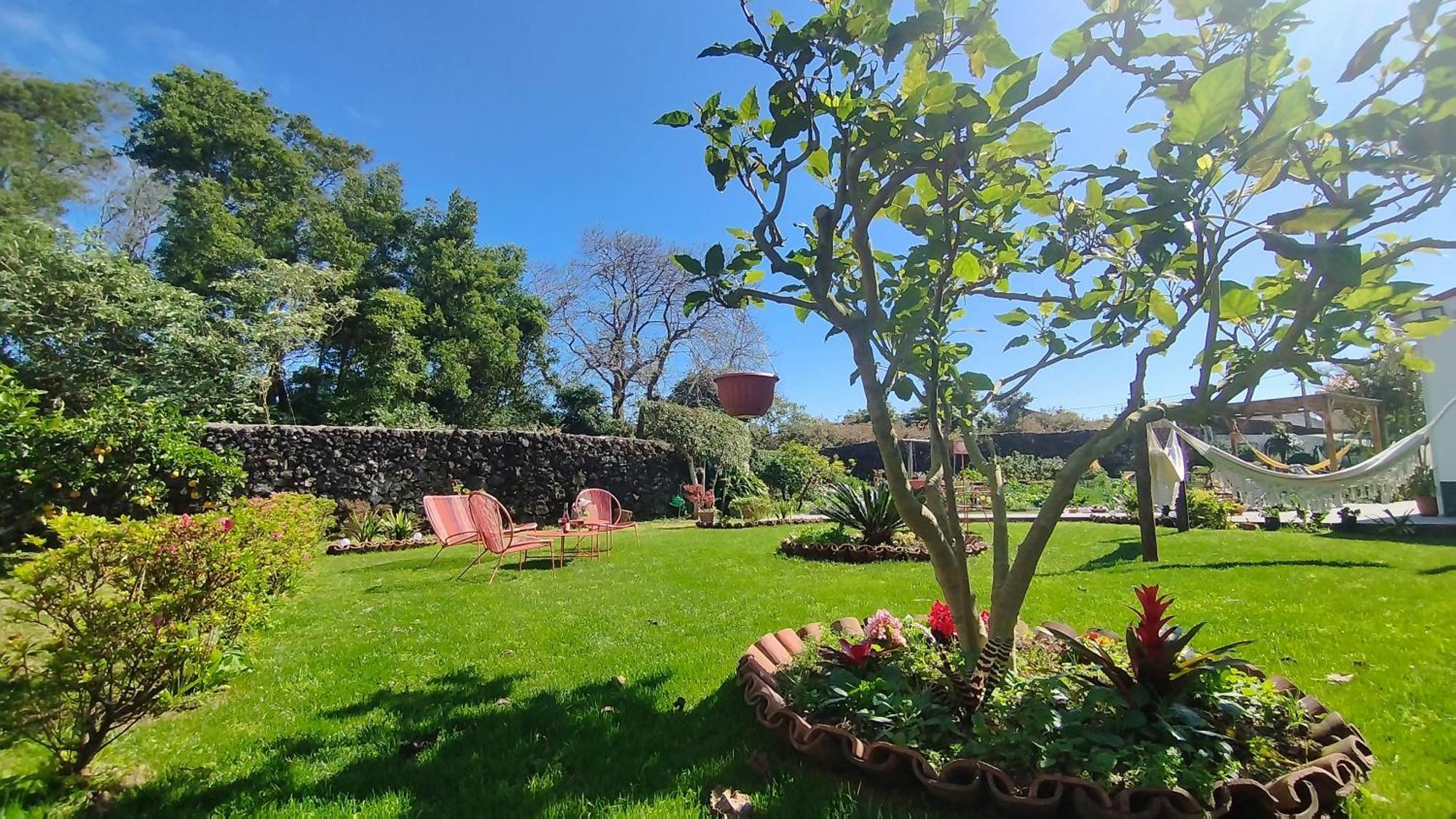 Quinta Dos Sentidos , Rustic Holiday Houses In São Vicente Ferreira Esterno foto
