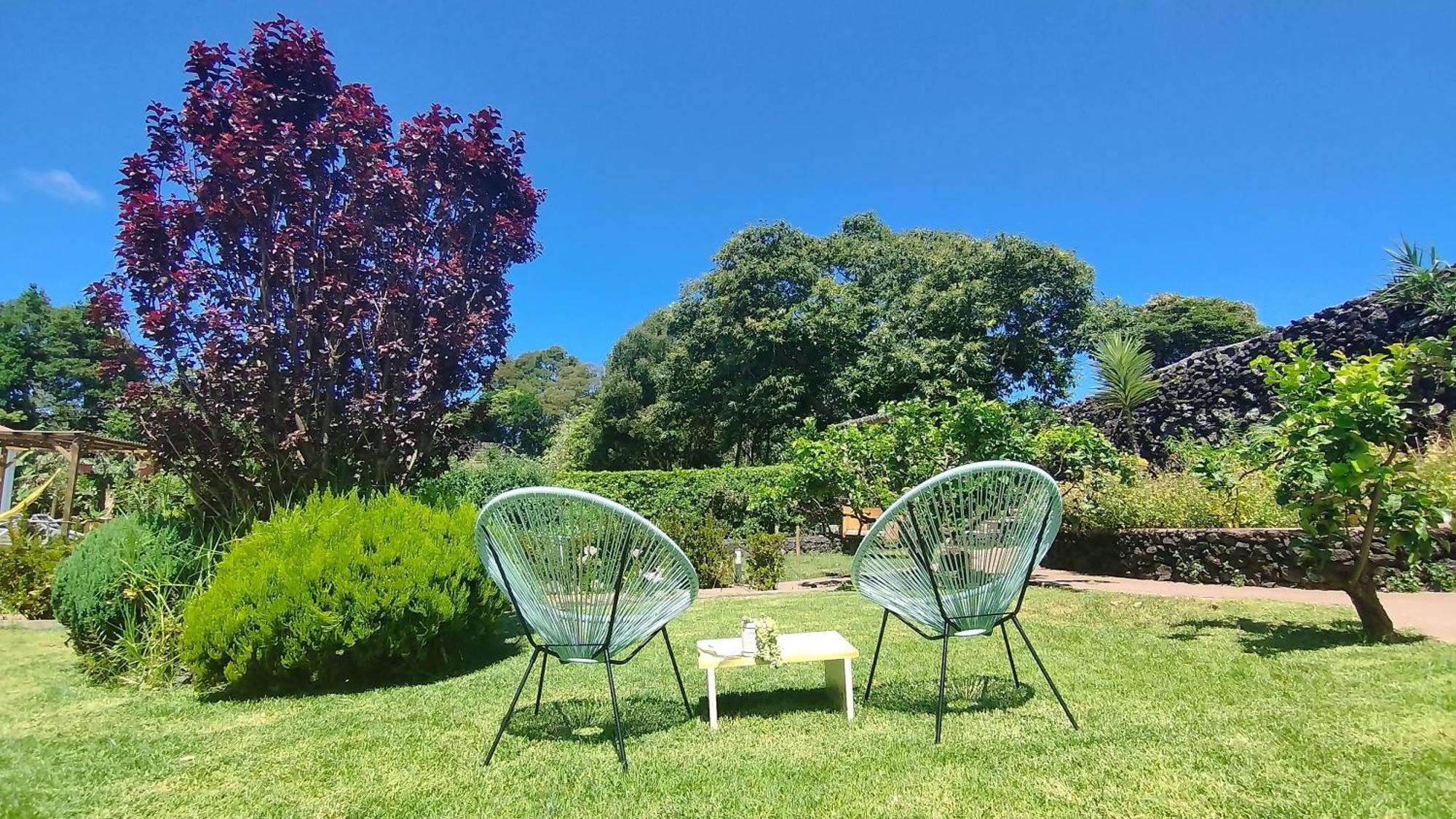 Quinta Dos Sentidos , Rustic Holiday Houses In São Vicente Ferreira Esterno foto